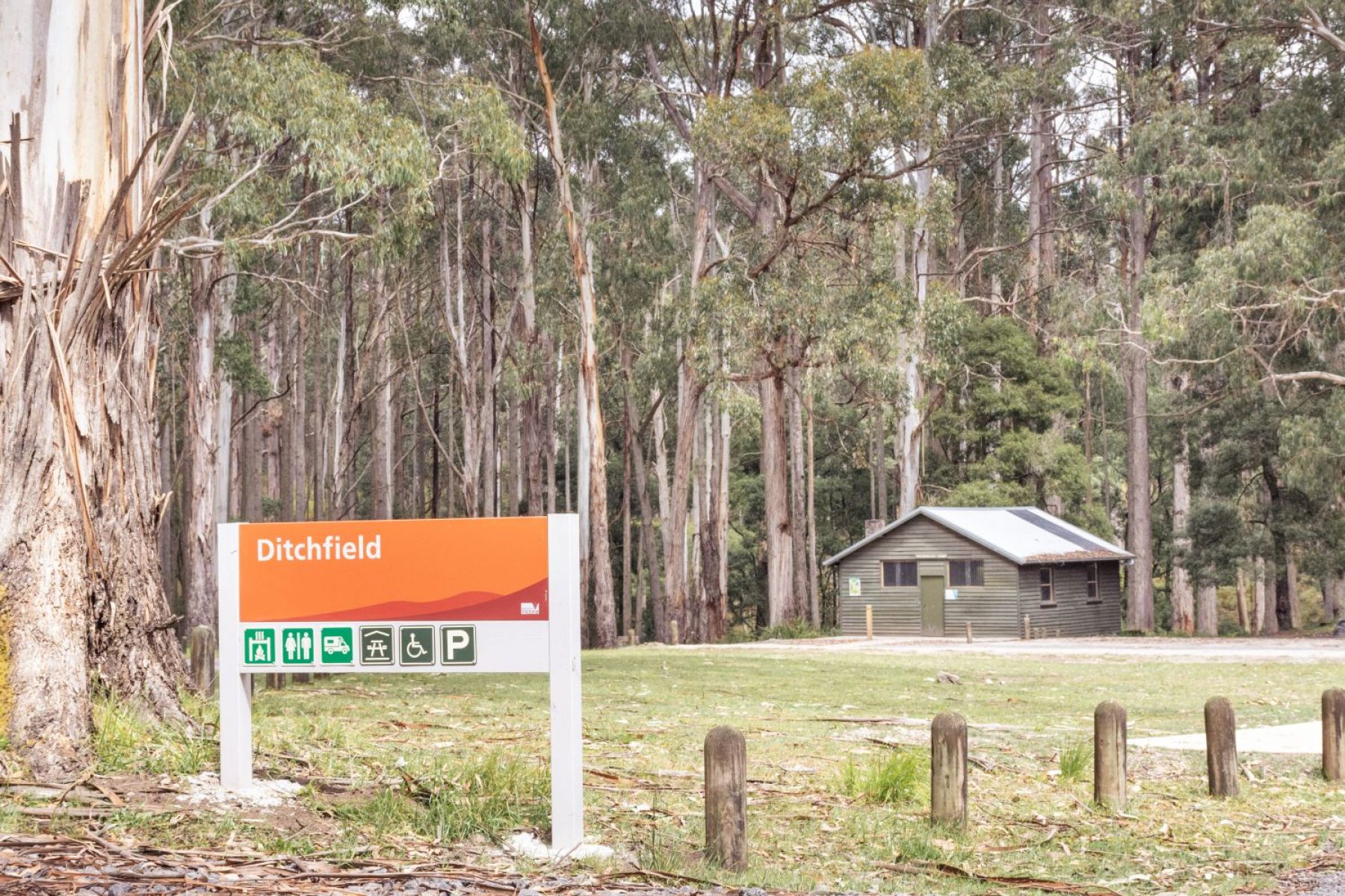 An orange sign reading 'Ditchfield' in front of a grassy bust setting with a grey hut in the background