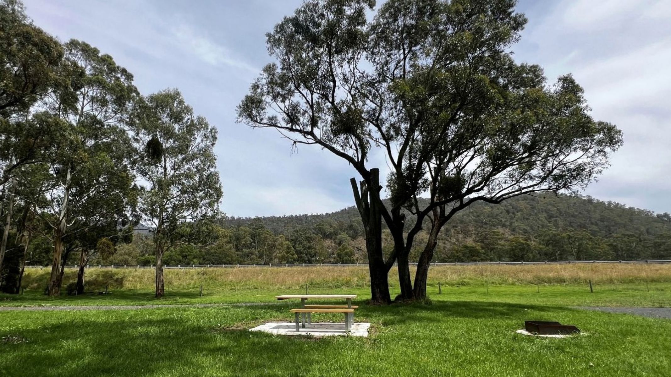 An open grassy space with a wooden picnic table and BBQ under a shady tree.