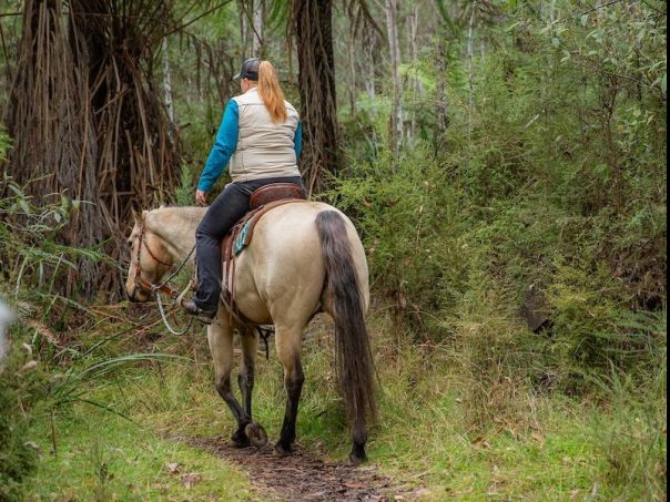 A woman rides a horse slowly under large ferns in the forest.