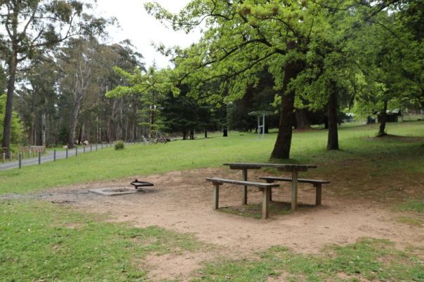 A wooden picnic table sits under a shady green tree.