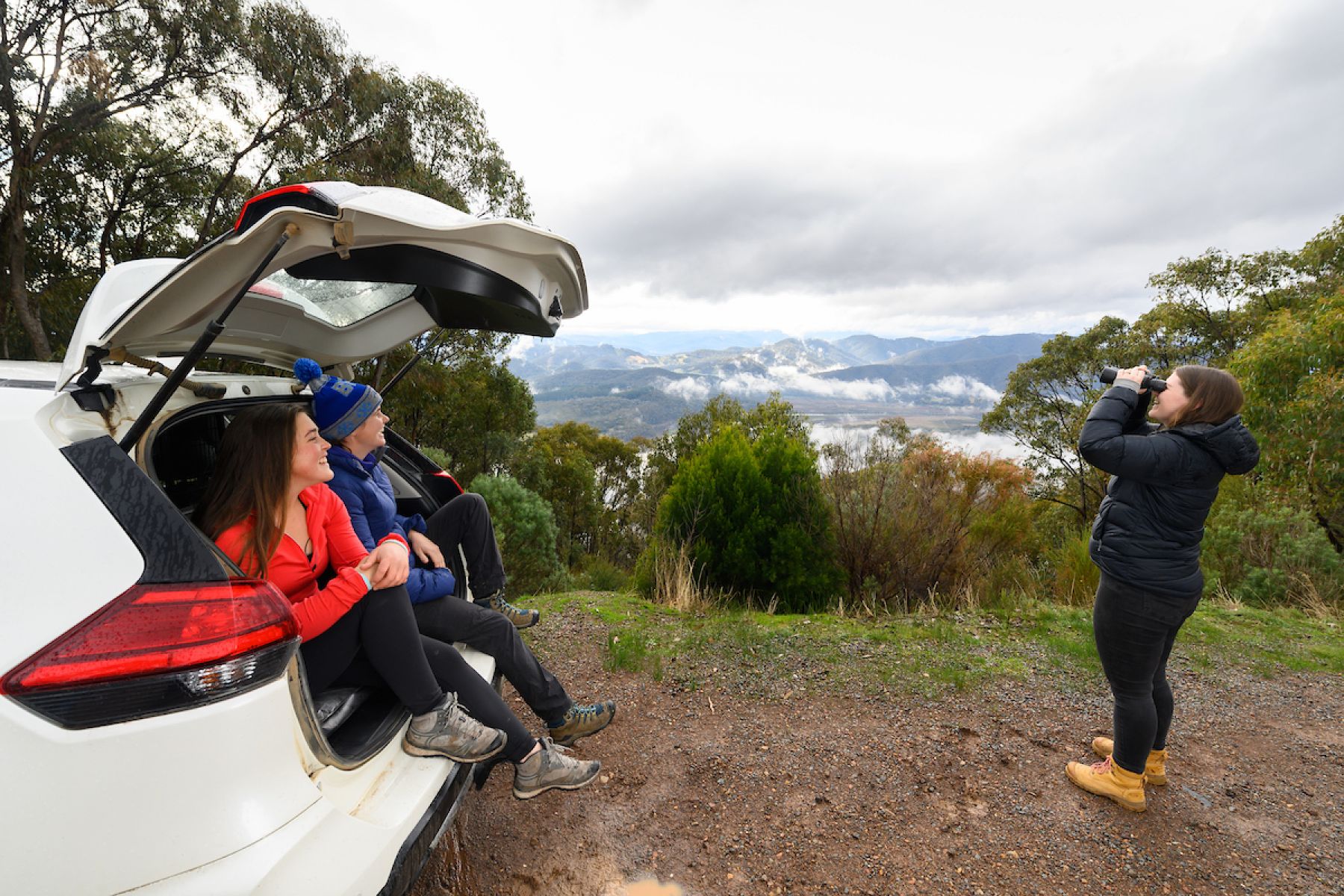 A group of friends stop their car at a lookout and take in the view using binoculars. 