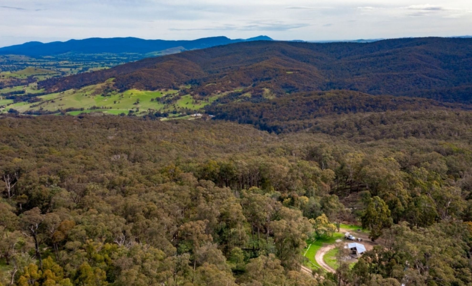 Birdseye view of a bushy forest campground. 