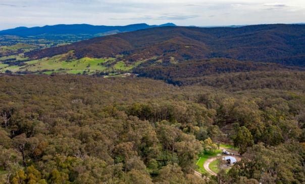 Birdseye view of a bushy forest campground. 