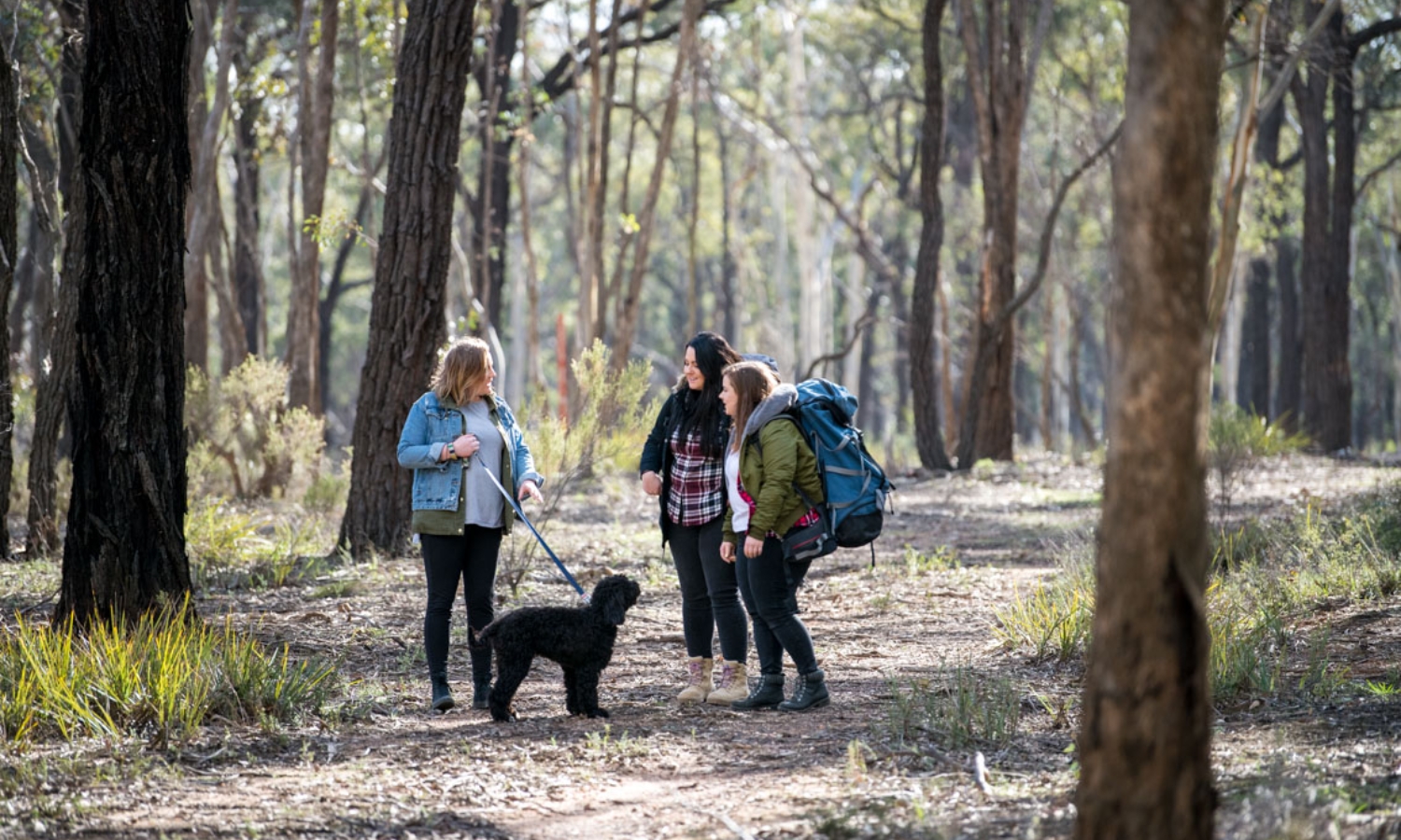 3 ladies and a dog enjoying the great outdoors