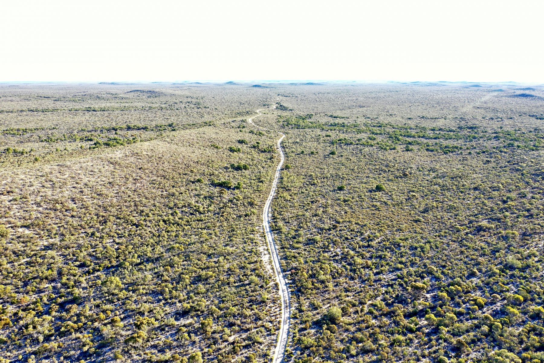 An aerial view of dirt tracks through the bush