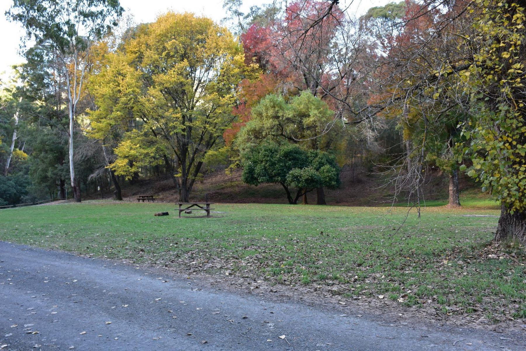 The main campground with lots of space to camp