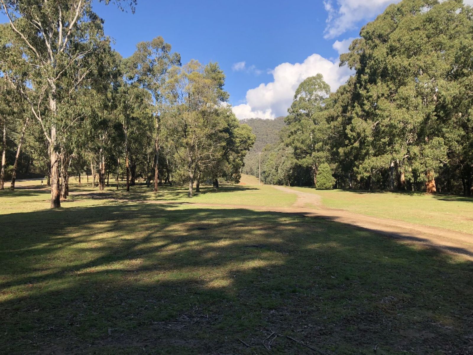 A view of the open grassy area available to camp in at Knockwood Reserve 