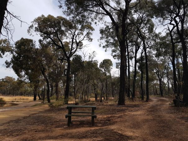 A photo of a picnic table at the Basin.