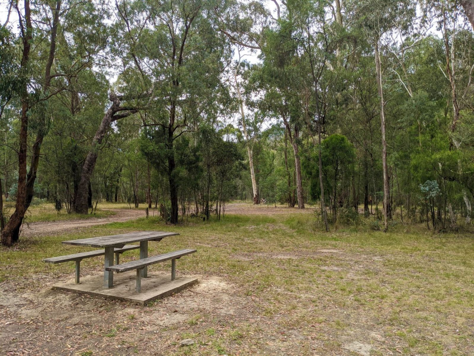 A picnic table in the foreground and scattered bush in the background.