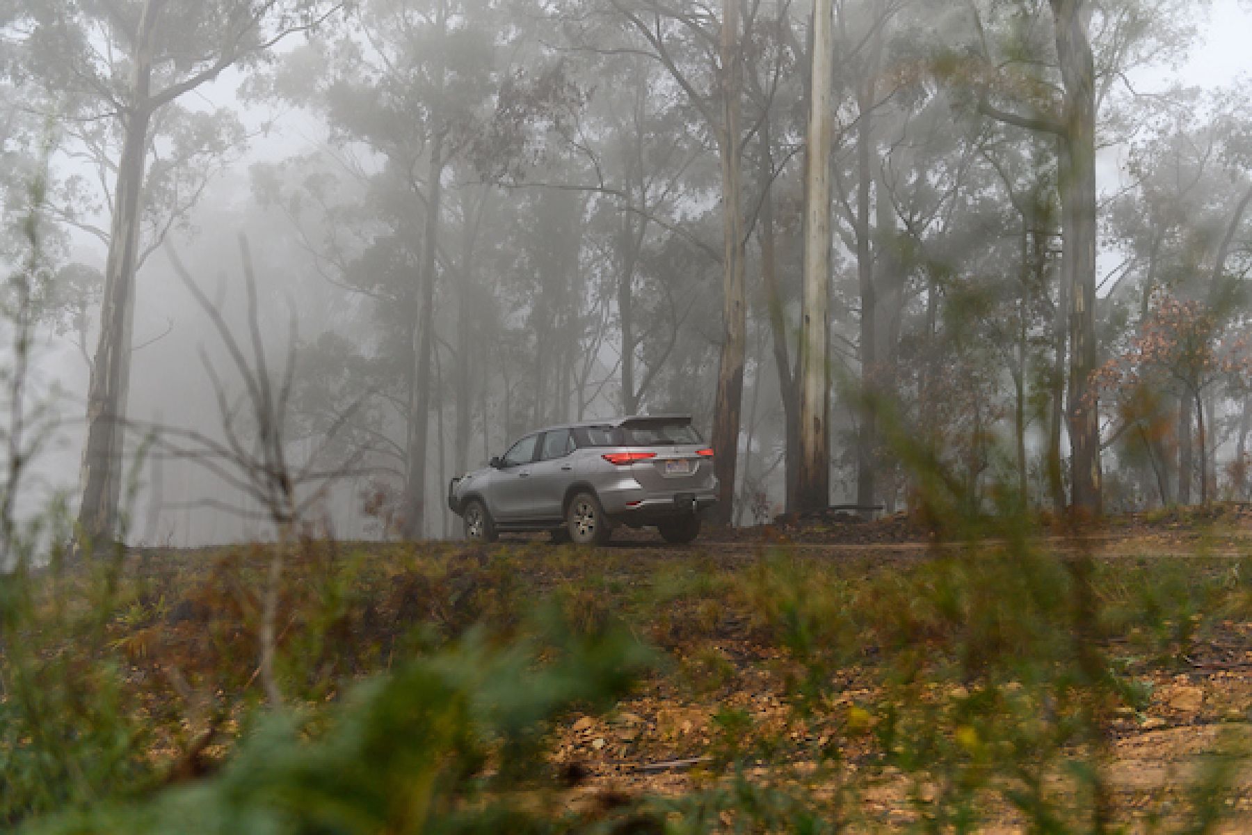 A grey four-wheel-drive vehicle drives along a track in a foggy bush landscape