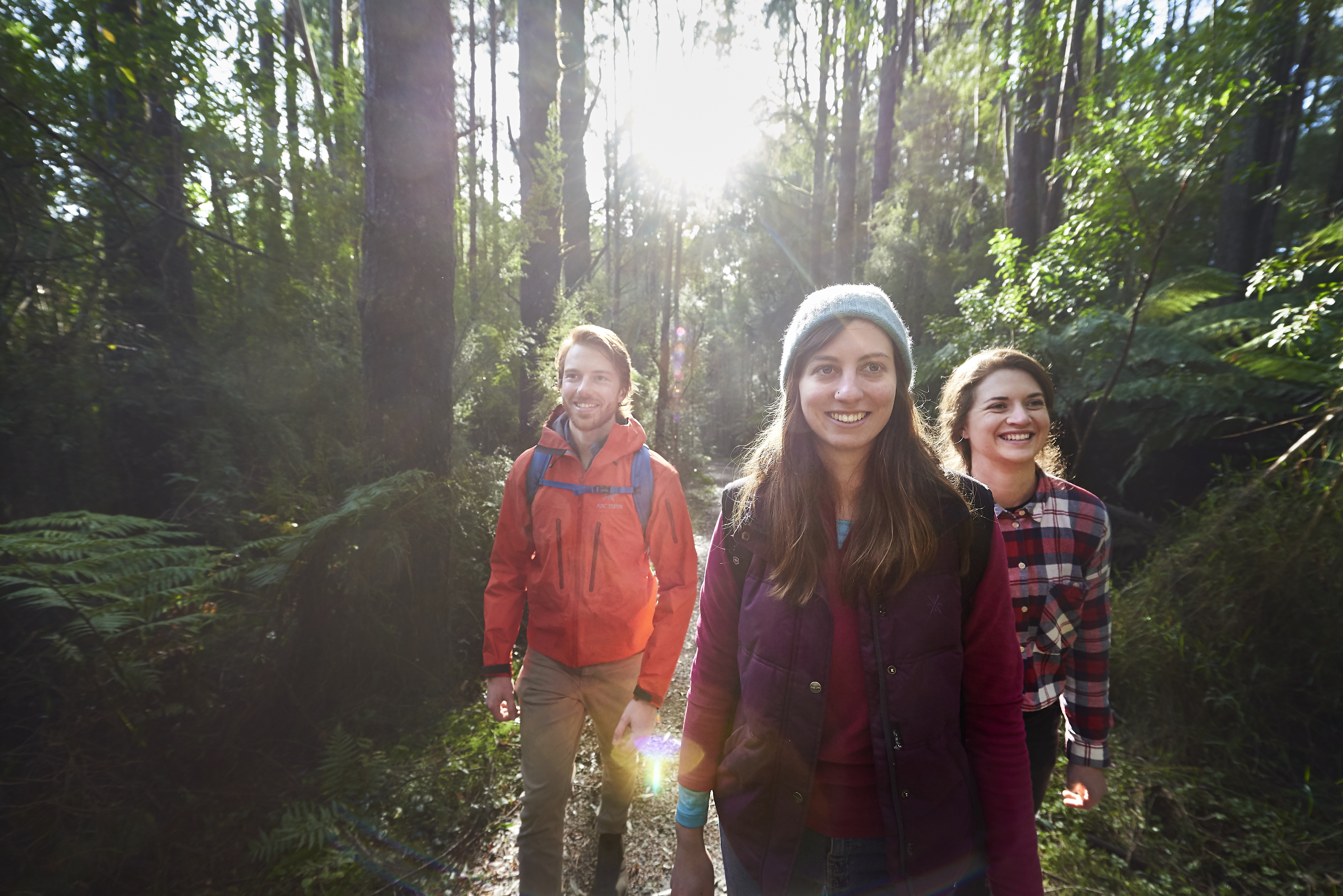 Bushwalking at Beauchamp Falls in the Otways  