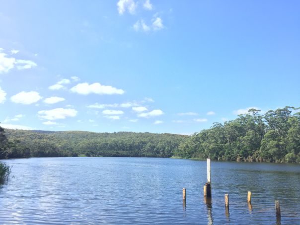 A calm body of water