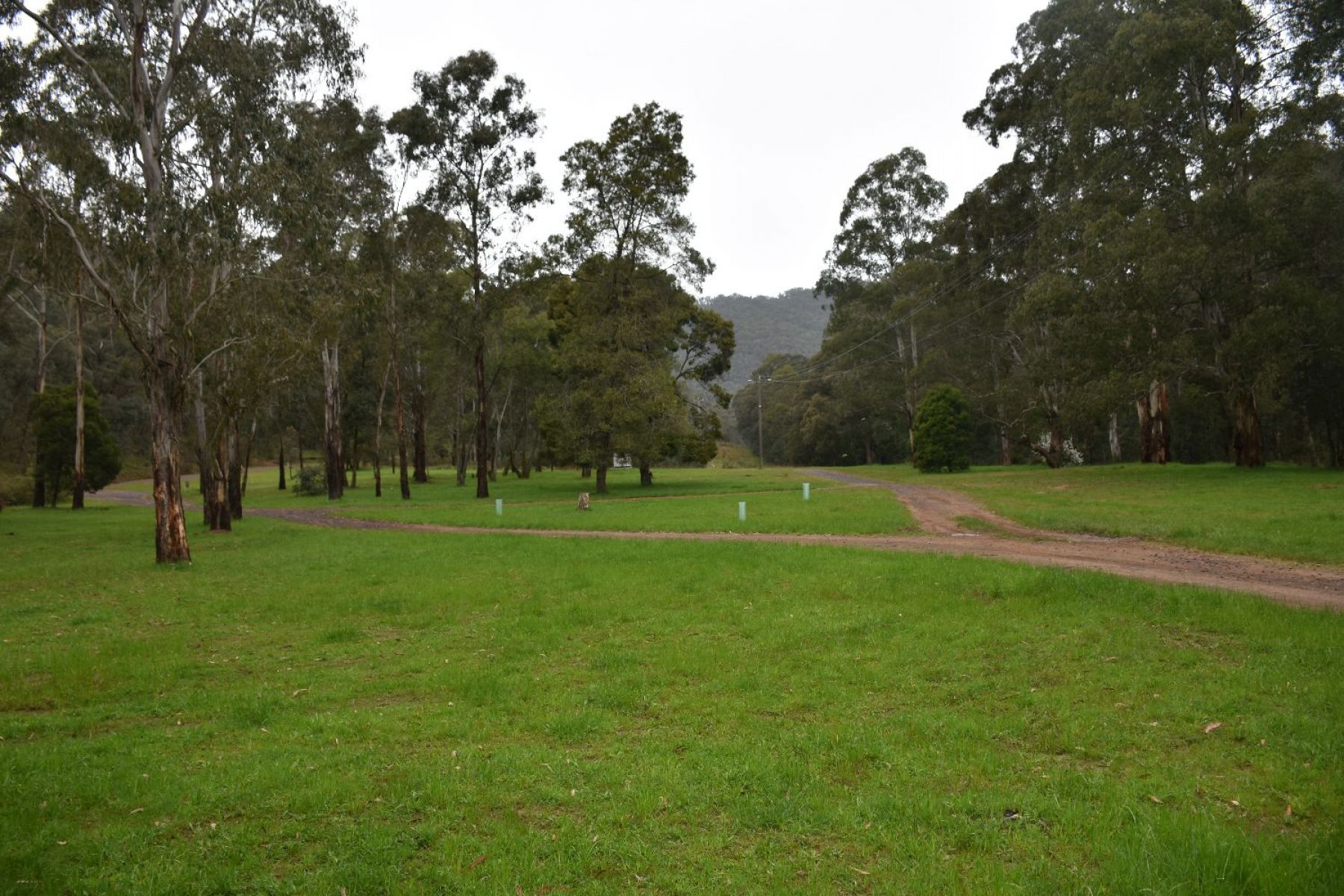 View of the camping area, filled with recently planted trees and open grassy area 