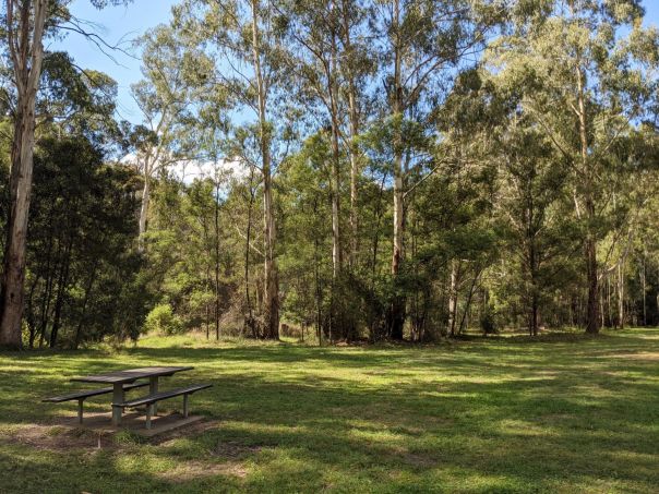 A large grassy area surrounded by tall gum trees with a wooden picnic table in the foreground.