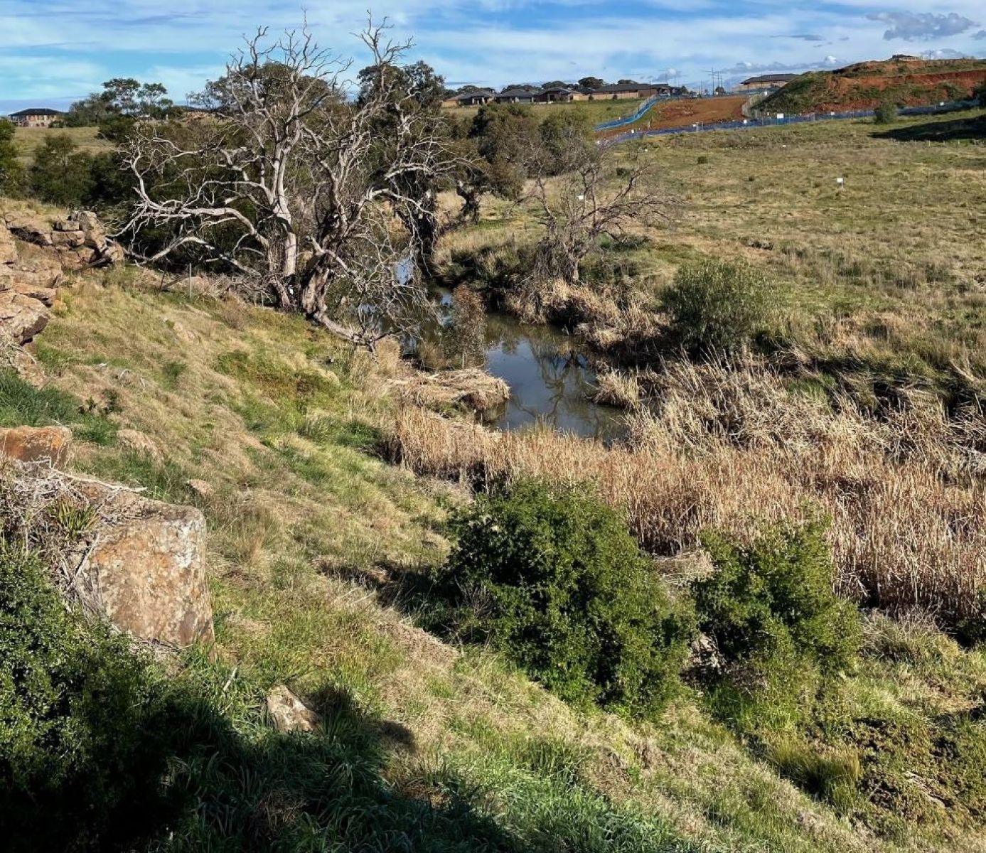 Toolern creek landscape 