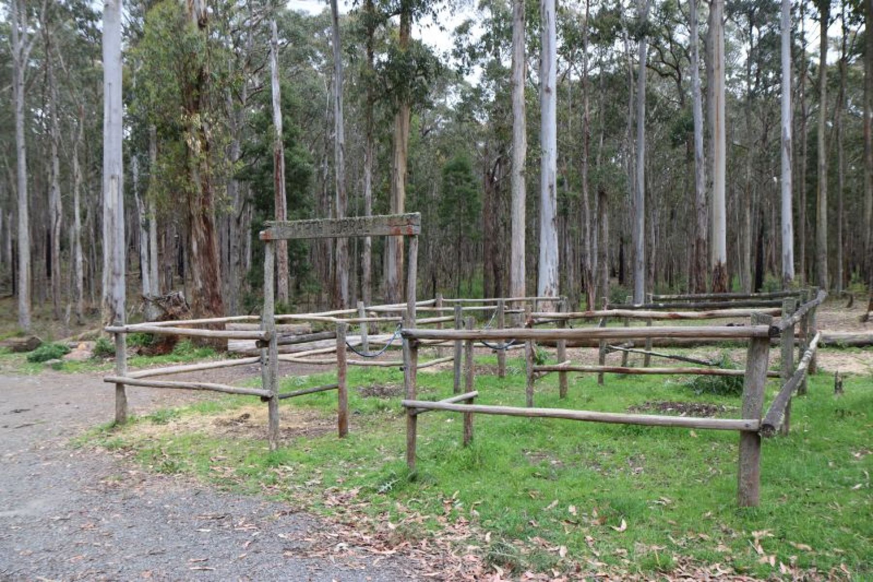 A fenced off area in the bush designed to hold horses.