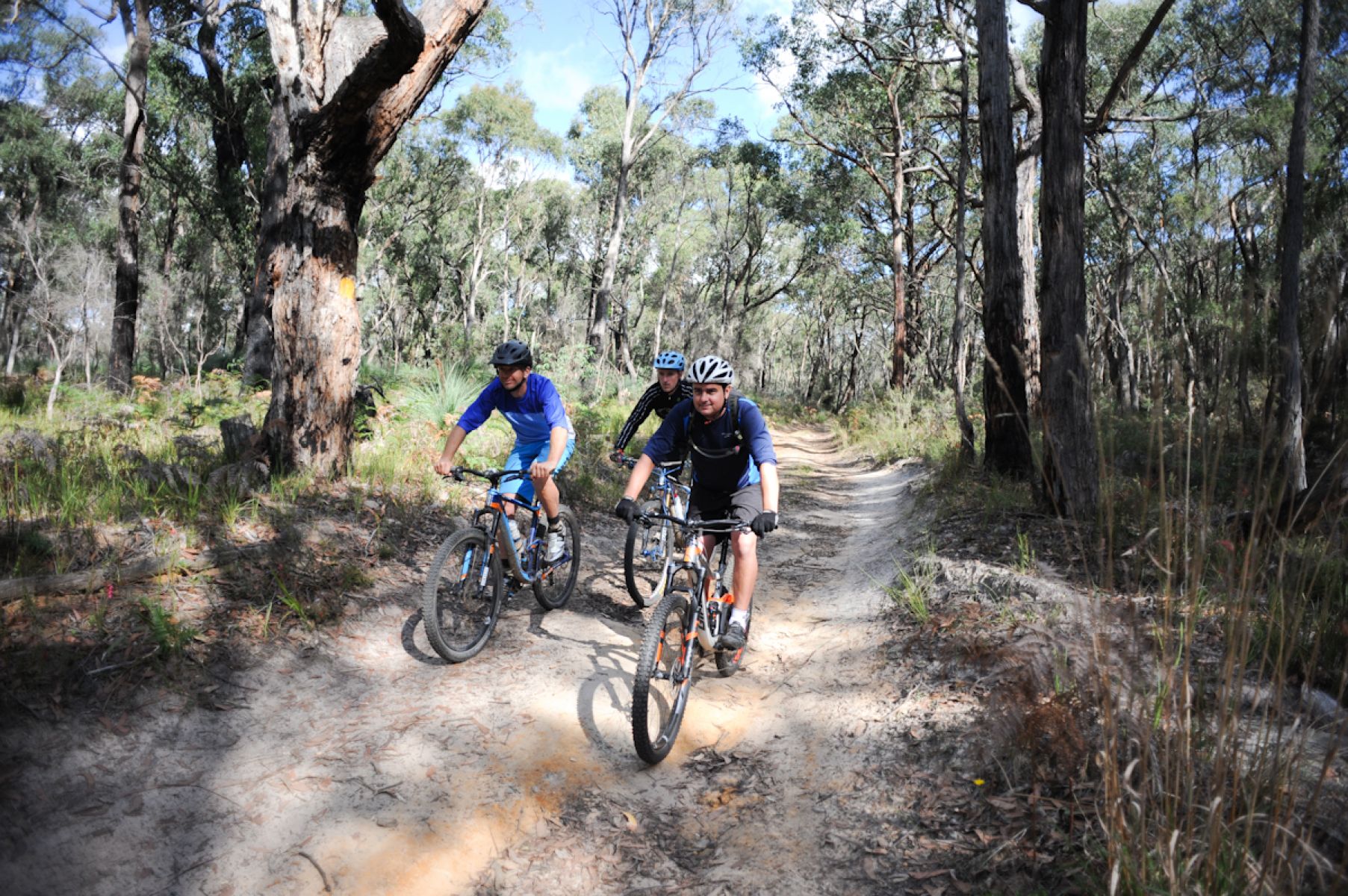 Parklands mountain bike discount trails