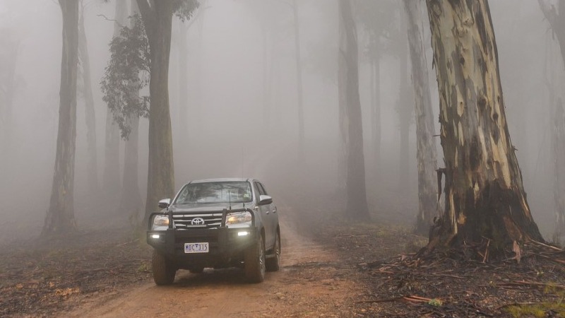 A 4WD vehicle drives through a foggy landscape