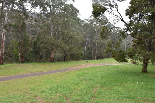 View of the reserve showcasing the large open space. Large patch of green grass with a path running through the site, surrounded by mature trees. 