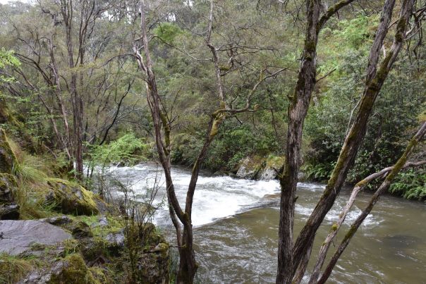 Buckland River flowing by the campground in the nearby gully.