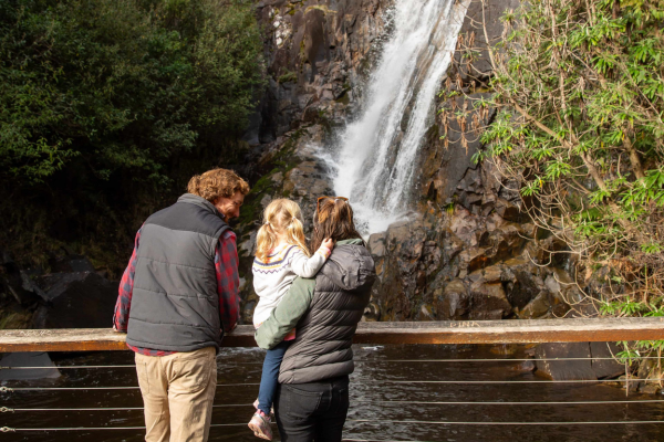 Parents and their small child look out at a waterfall surrounded by ferns.  