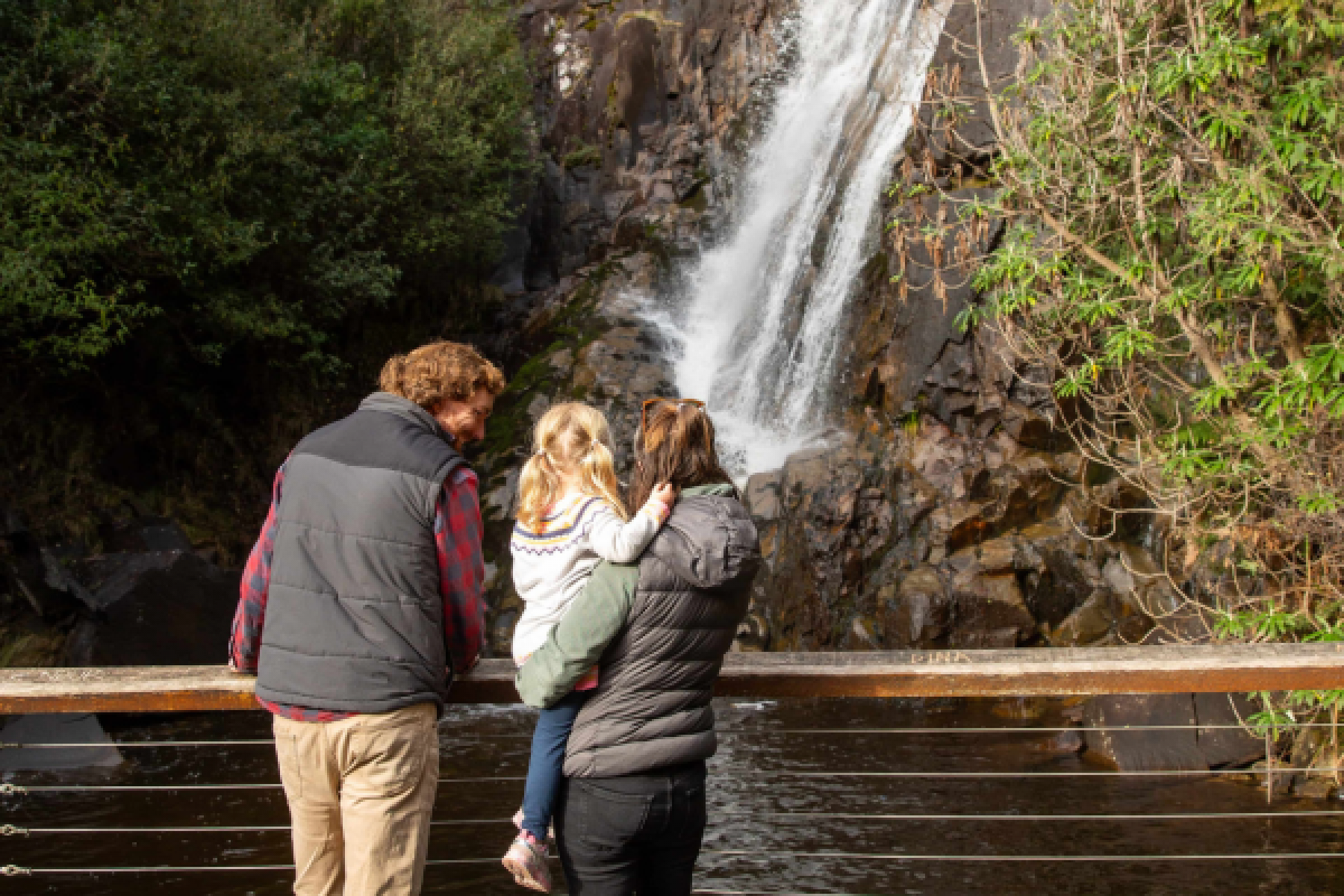 Parents and their small child look out at a waterfall surrounded by ferns.