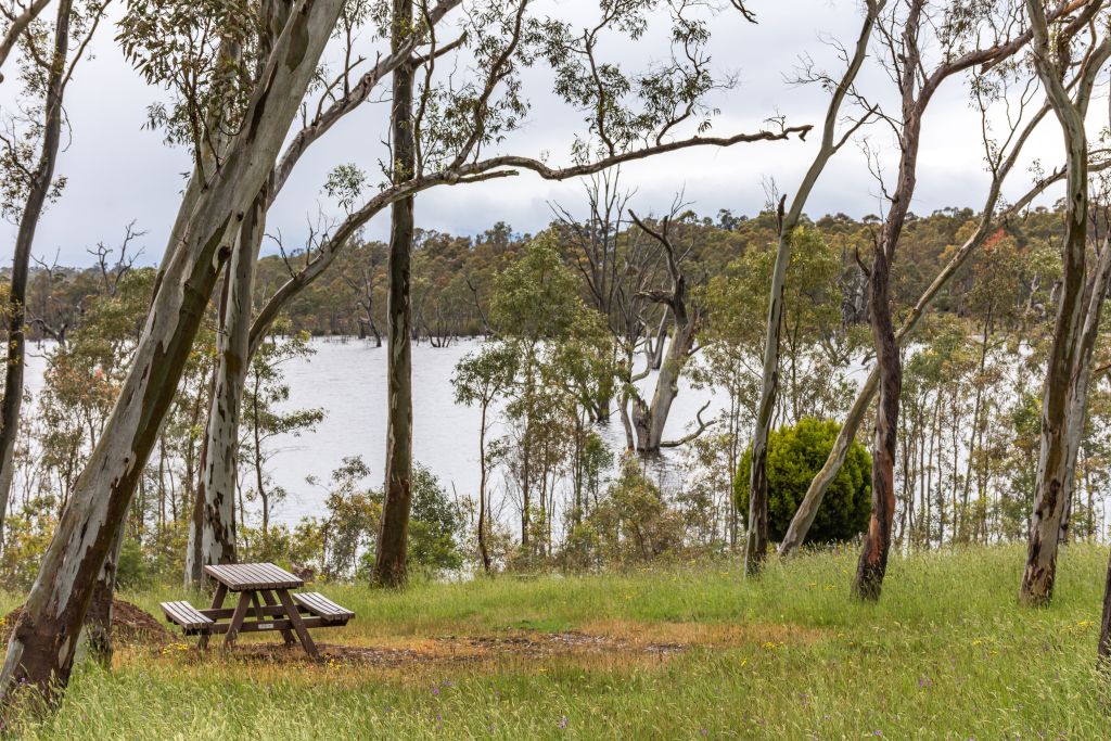 A wooden picnic table sits near the water's edge in the bush  