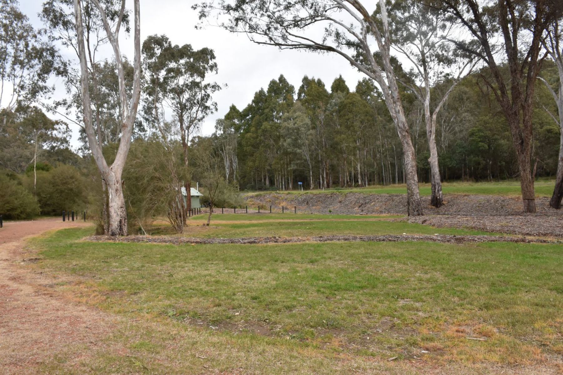 Camping area at Mill Campground.