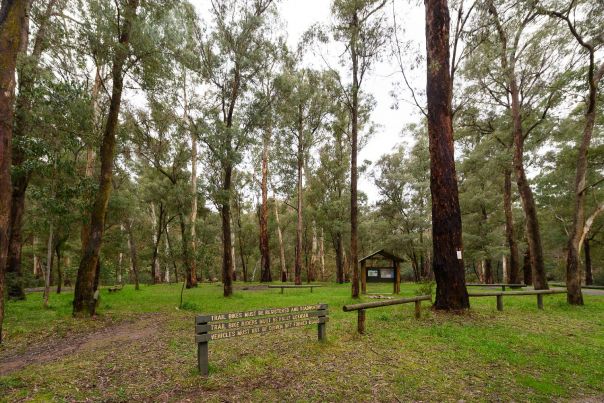 The main entrance to running creek with plenty of space for activities 