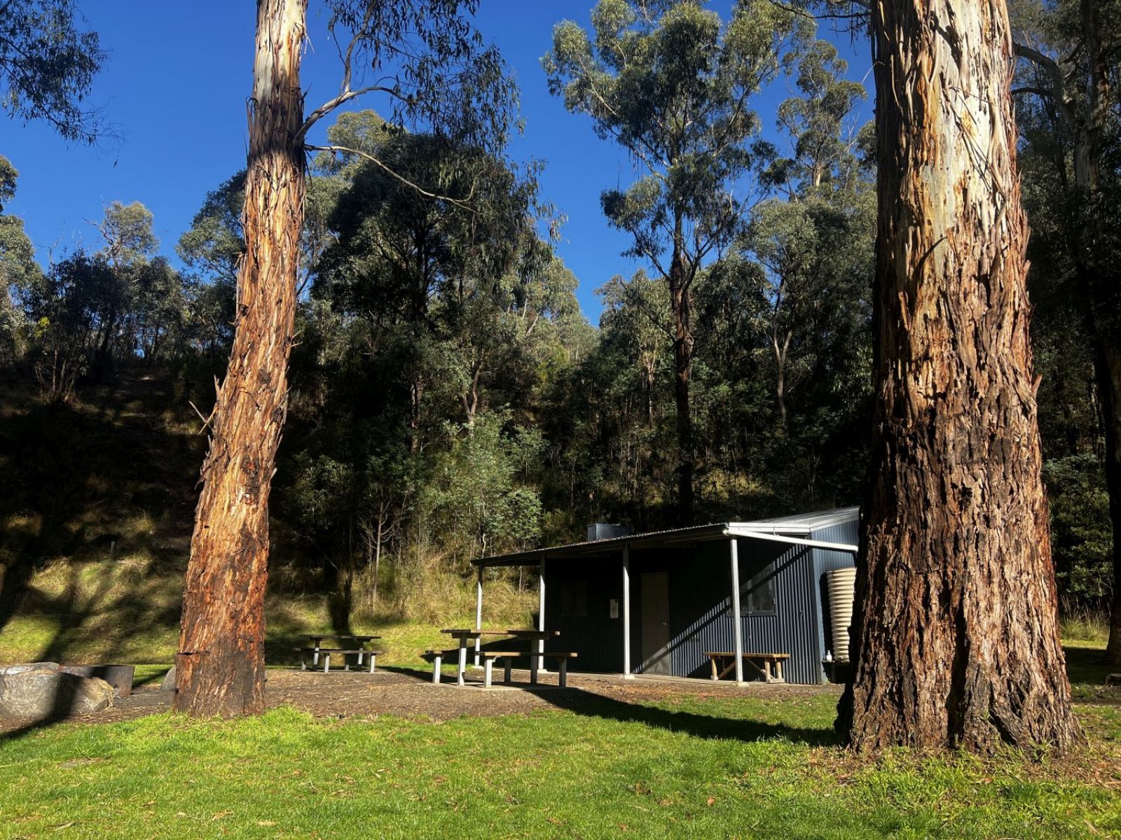 A grassed area between two trees with a metal hut and picnic tables in the background.