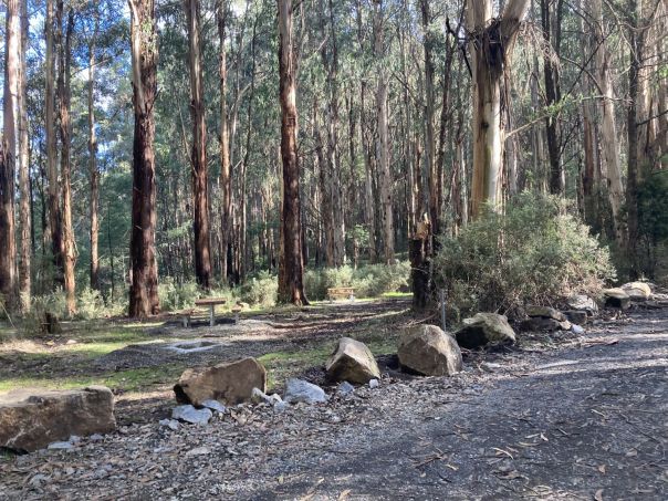 A wooden picnic table is under shady gum trees.