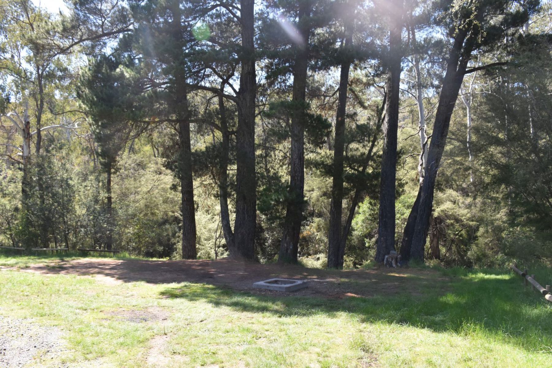 A patch of grass with a shaded area under the trees.