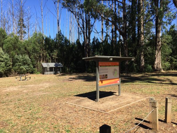 A grassy picnic area with information sign, picnic table and toilets