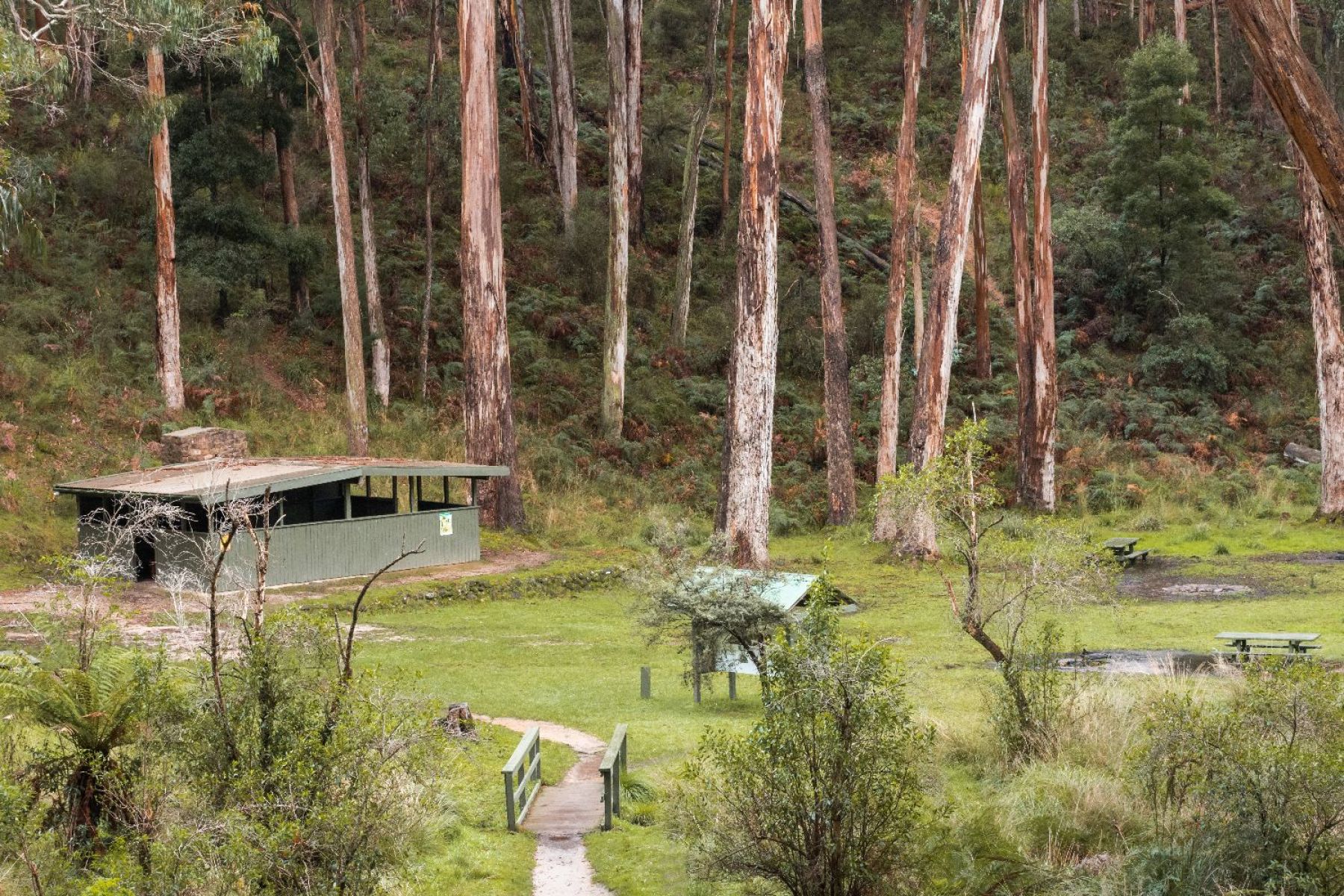 An overview of Richards campground and picnic area. A struture surrounded by trees. A small wooden bridge in the foreground.