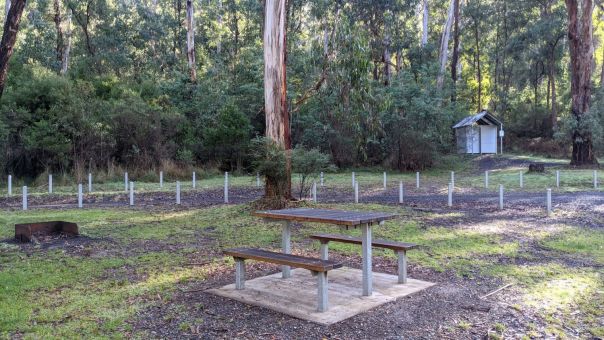 A picnic table in foreground with a toilet hut in the background of the campsground.