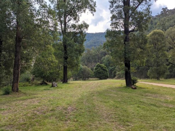 An open grassy clearing among trees.