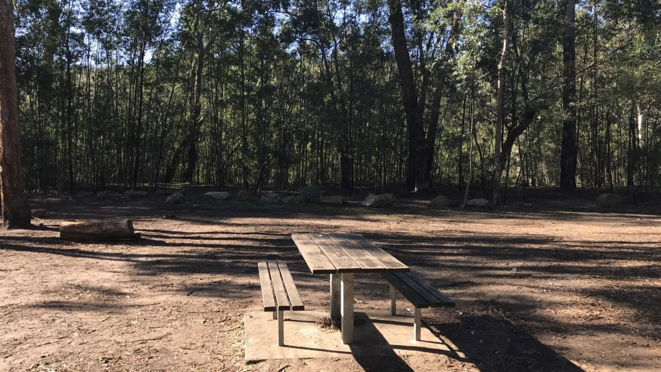 A wooden picnic table in a flat dirt camping area aurrounded by tall trees.