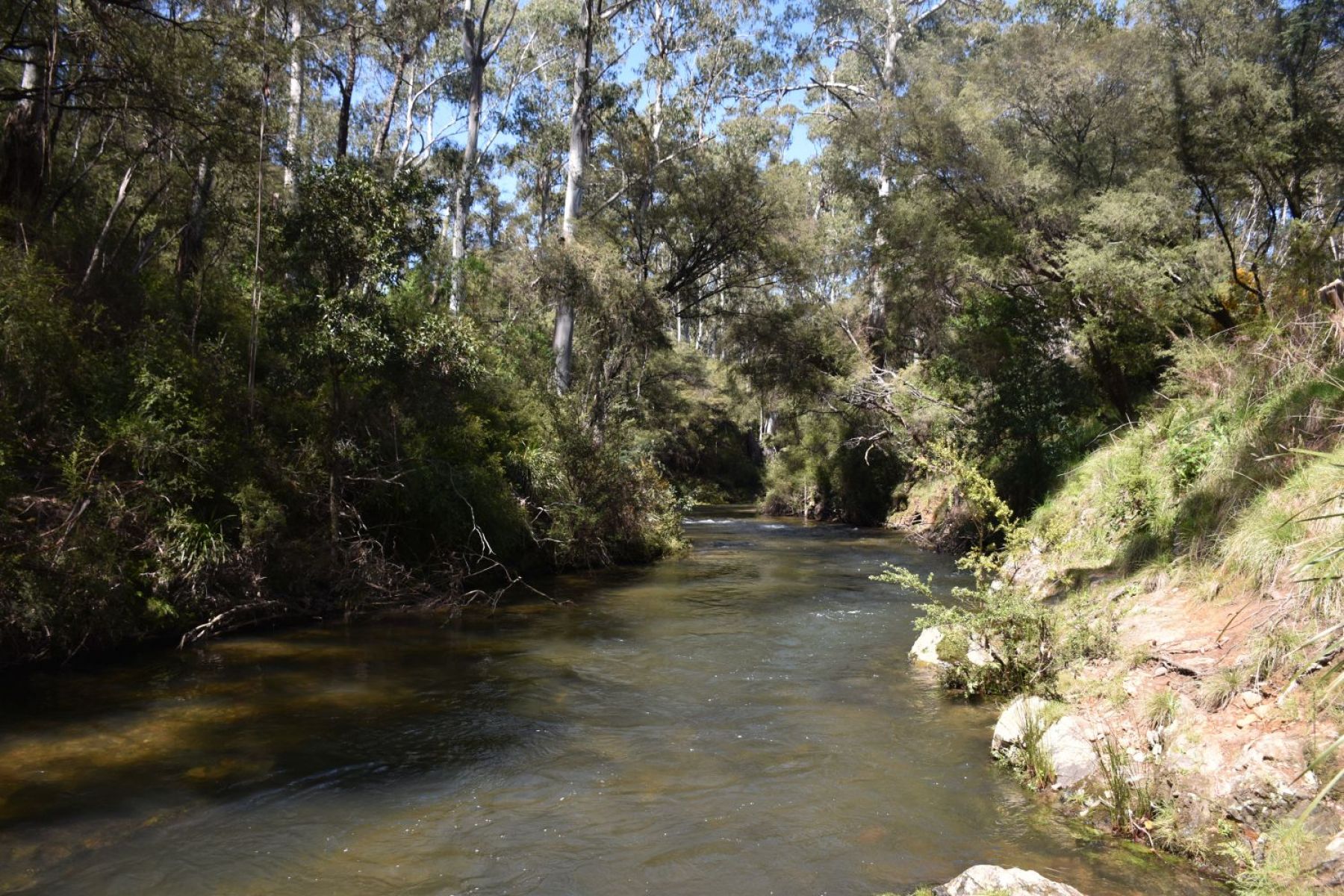 A river with shaded trees lining the bank of the river.