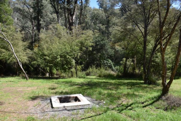 A firepit in the middle of a grassy camping area.