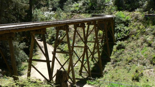 A wooden trestle bridge winding through a forest. 