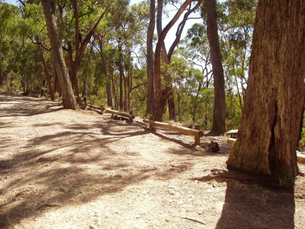 A dirt gravel area bordered by trees