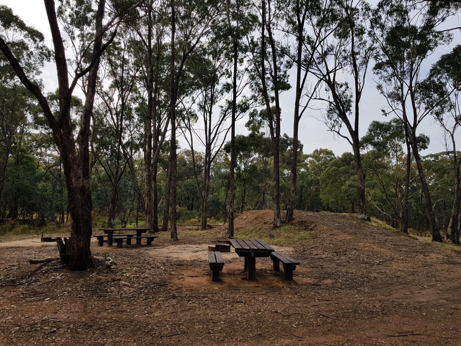 An area with picnic tables among trees