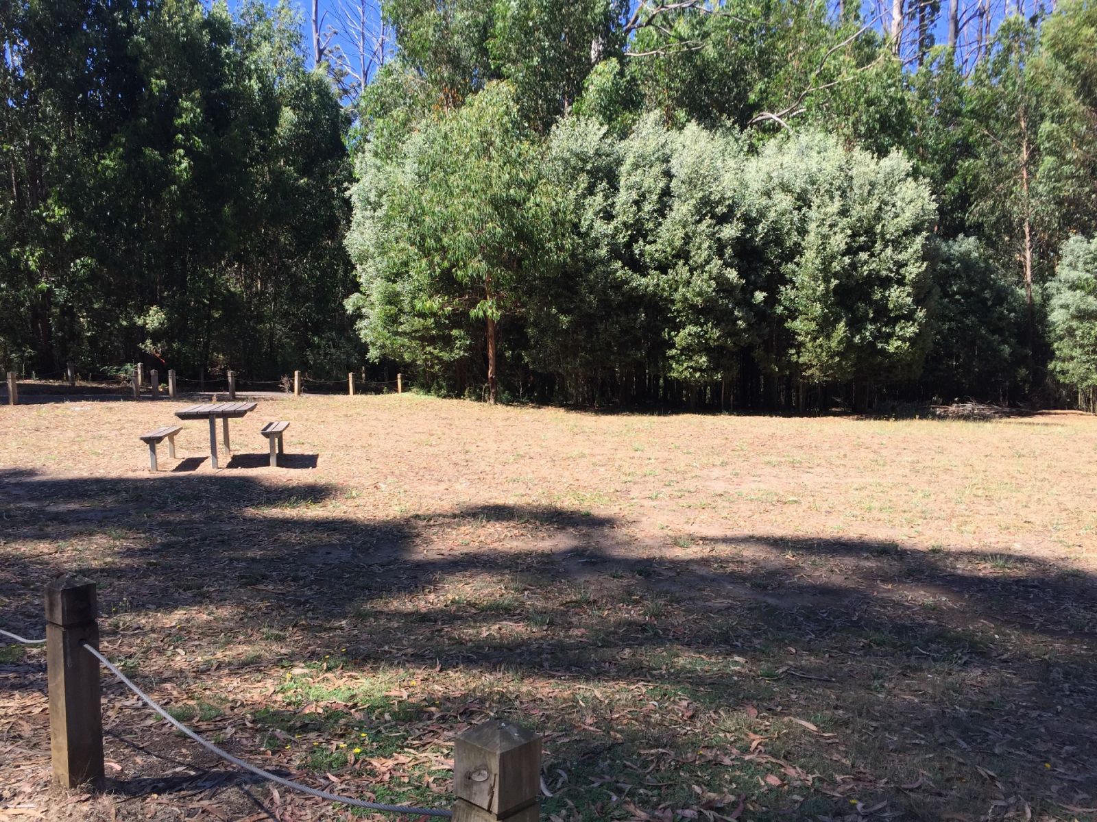 A grassy area with picnic table