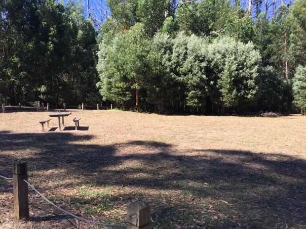 A grassy area with picnic table