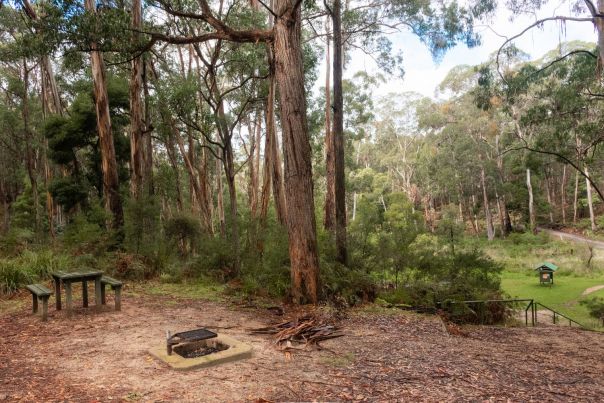 A view of an area by a fire pit to put up your tent