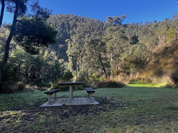 A picnic table with a scenic forest view in the backgrond.