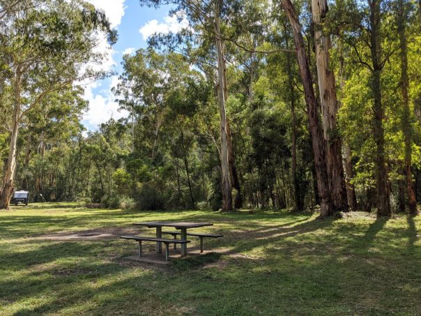 A grassy area is surrounded by tall gum trees. A wooden picnic table sits in the foreground and a white camper trailer is in the background.