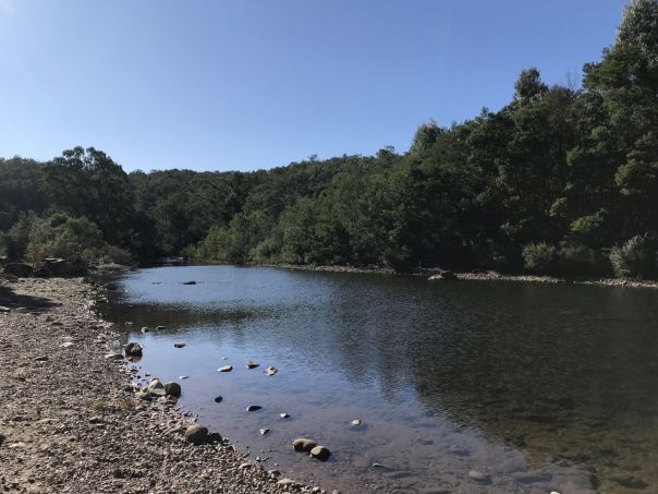 A river with pebbles on the banks and bushland in the background.