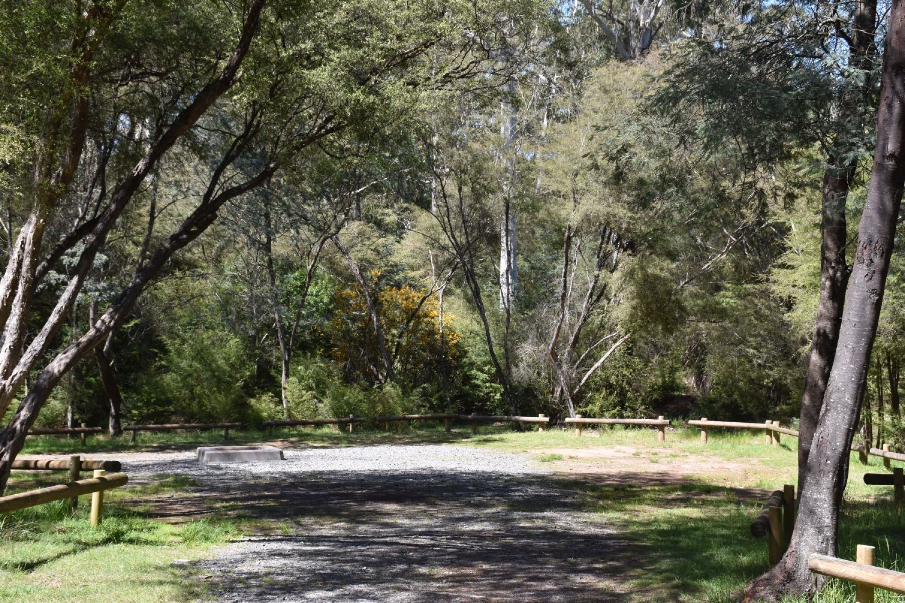 Bollards and trees surrounding an open gravel area.