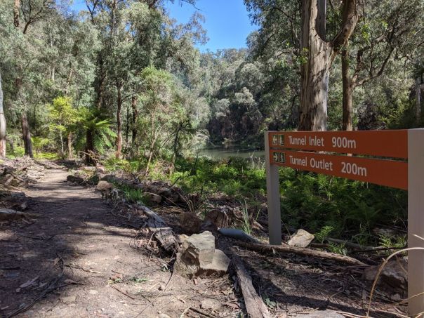 An orange location sign at the start of a walking track into a forest.